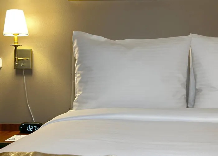 Tb Hotel Miami